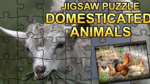Farm Animal Jigsaw Puzzle