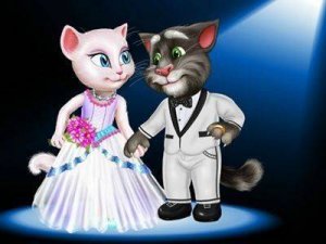 Ben and Kitty Creative Photo Studio