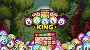 Number Match Bingo Family Game