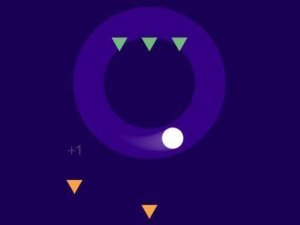 Circle Guardian Puzzle