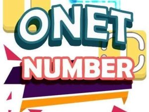 Number Pair Puzzle