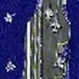 Aerial Navigator Precision Challenge