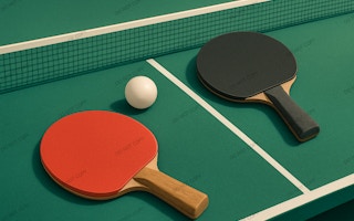 Ping Pong Paddle Challenge
